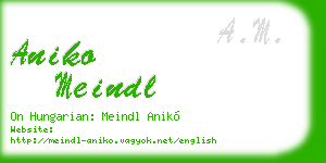 aniko meindl business card